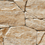 Color: Beige