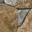 Color: Grey and Brown