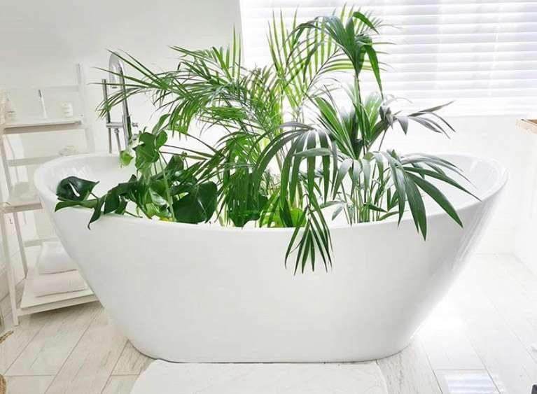 Di(vine) inspiration: Why the Colour Green is Taking Over Interior Design in 2021