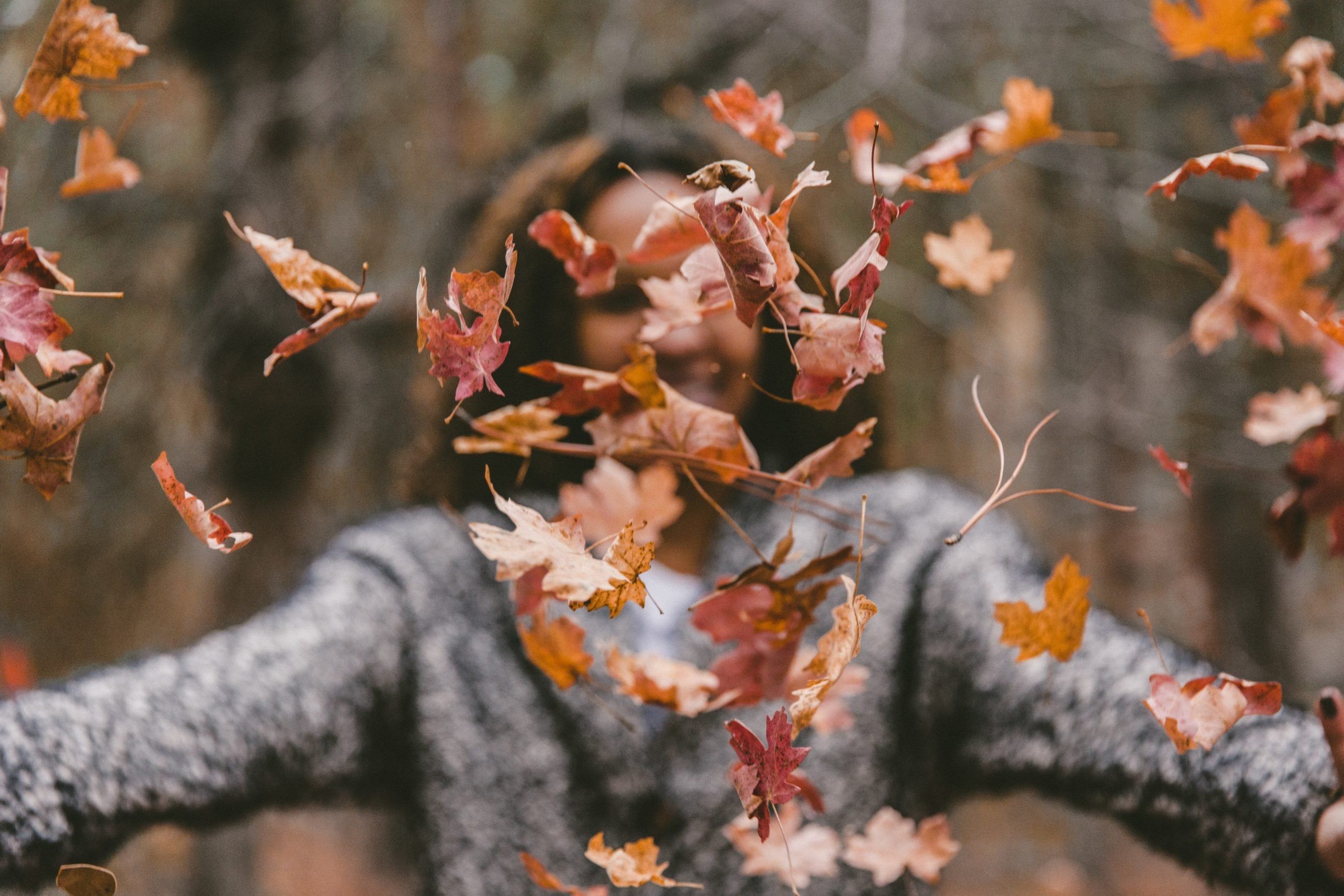 How to Make the Most of Autumn