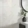 Alpine Blanco Marble Effect 50x25