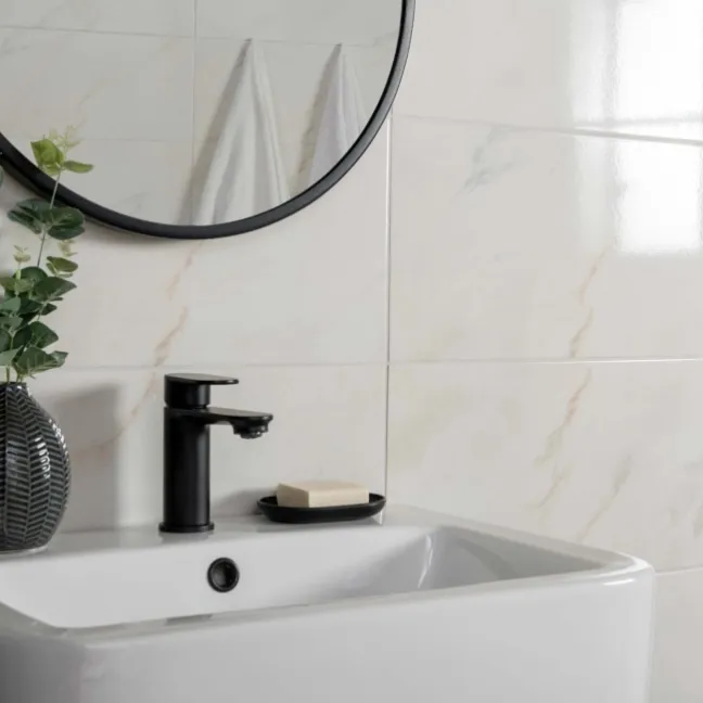 Alpine Blanco Marble Effect 50x25