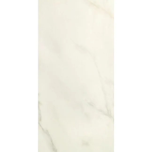 Alpine Blanco Marble Effect 50x25