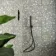 Mizuki® Fern Green Terrazzo Effect Wall and Floor Tiles