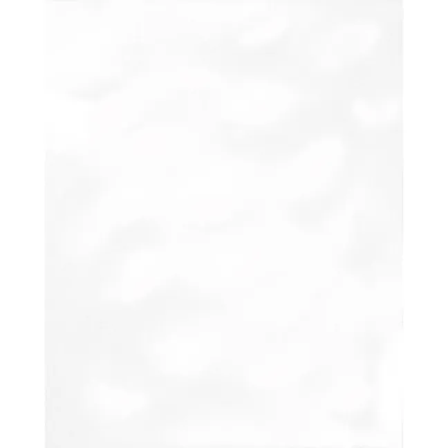 Crystal White Gloss Bumpy 250x200 Ceramic Wall Tiles