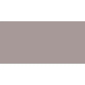 Prismatics Gloss 200x100 Woodpigeon Grey Wall Tiles