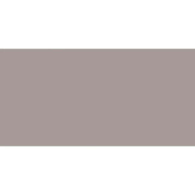 Prismatics Gloss 200x100 Woodpigeon Grey Wall Tiles