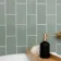 Monocolour Rico Green Gloss Flat Metro Wall Tiles 200x100