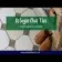 Octagon Effect Olive Green Matt Vintage Pattern Wall and Floor Tiles