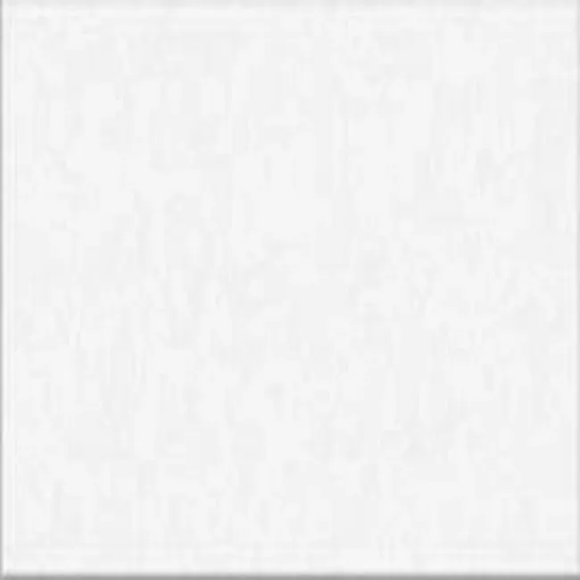 Matt White Floor Tiles