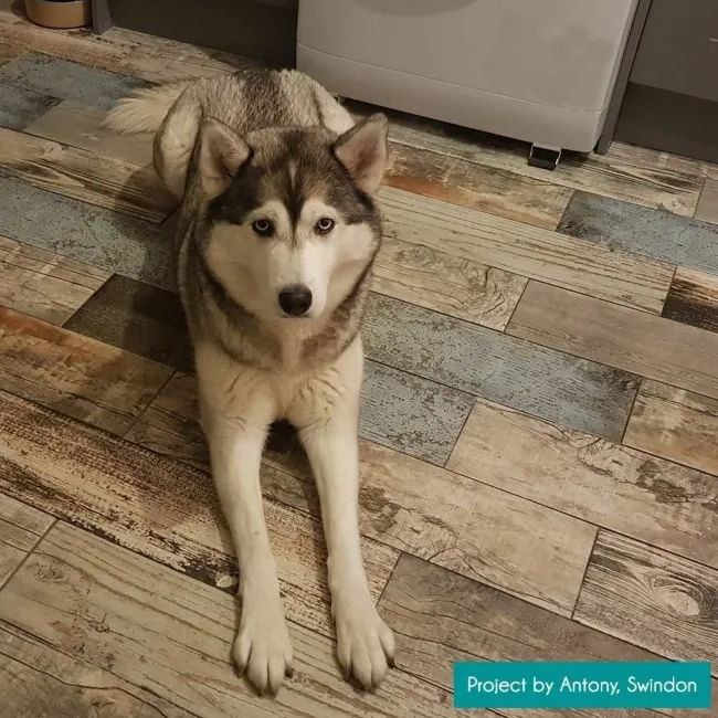 Rustic Blue Reclaimed Wood Effect Porcelain Floor Tiles