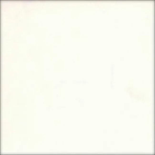 Opal Large Gloss White Tiles