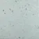 Dollymixx Bubblegum Light Blue Terrazzo Effect Tiles
