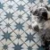 Scintilla Sapphire Star Pattern Tiles