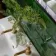 Victorian Gloss Green Metro Tiles