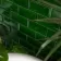 Victorian Gloss Green Metro Tiles