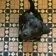Churchill Navy Blue & Pink Mosaic Victorian Matt Tiles