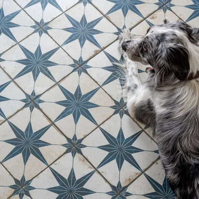 Scintilla Sapphire Star Pattern Tiles