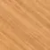 Trepanel® Honey Oak Acoustic Wood Wall Panels