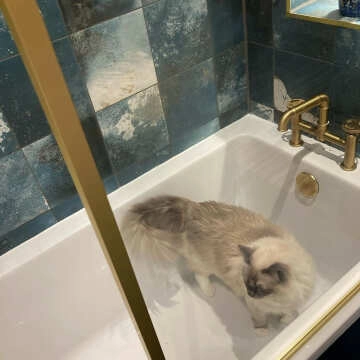 Raku Square Blue Gloss Patterned Wall Tiles