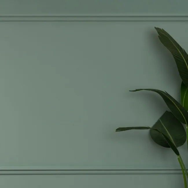 Trepanel Style® Paintable Swan Neck Moulded PS Wall Beading/Dado