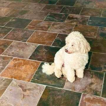 Country Farmhouse Multicolour Natural Slate Floor Tiles