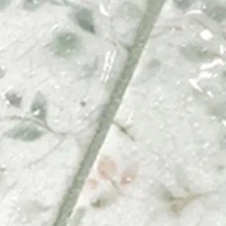 Lucy Bloom Gloss Multicolour Patterned Porcelain Wall Tiles