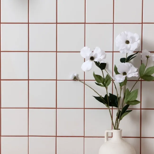 MonoEdge White Matt Ceramic Wall Tiles 100x100