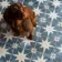 Scintilla Sky Blue Star Pattern Wall and Floor Tiles