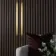 Trepanel® Stainless Steel Brushed Brass Decorative Acoustic Slat Cover