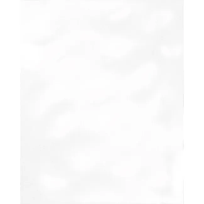 Crystal White Gloss Bumpy 250x200 Ceramic Wall Tiles