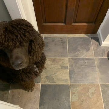 Country Farmhouse Multicolour Natural Slate Floor Tiles