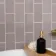Prismatics Gloss 200x100 Woodpigeon Grey Wall Tiles
