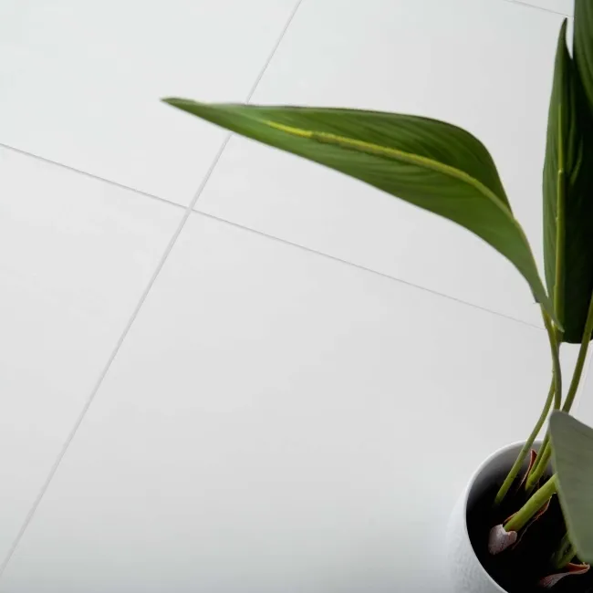 Snow White Polished Porcelain Tiles 600x600mm