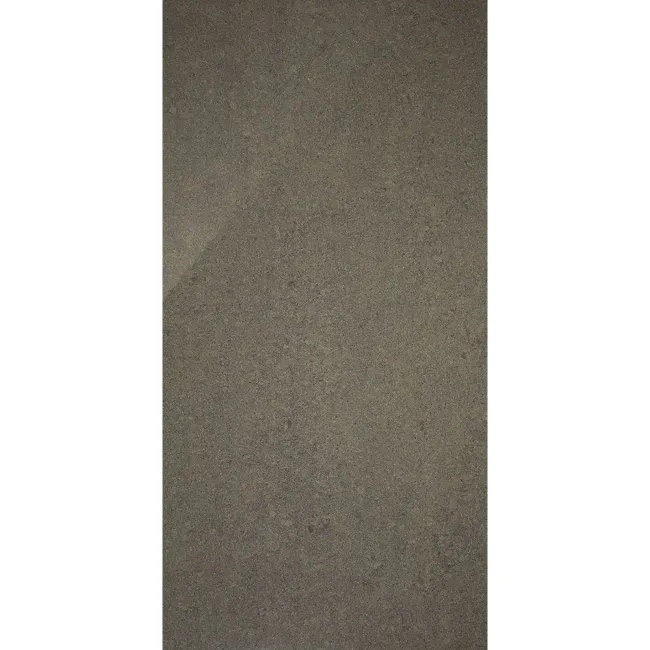 Novel Tiles Polished Grey Seal 60x30 Tiles
