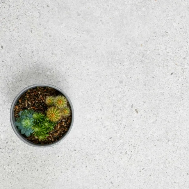 Dover White Matt Porcelain Stone Effect Wall And Floor Tiles