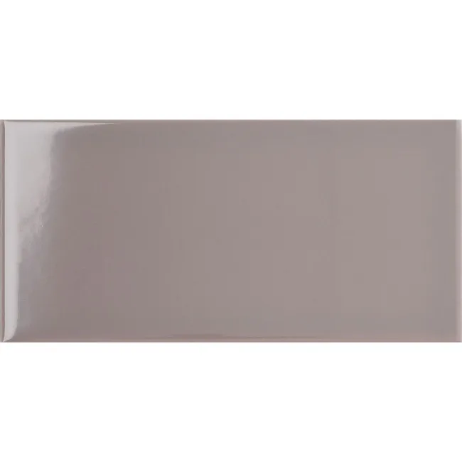 Prismatics Gloss 200x100 Woodpigeon Grey Wall Tiles