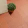 Aragon Terracotta Red Round Edge Quarry 150x150 Floor Tiles