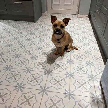 Blossom Cross Blue Matt Pattern Wall and Floor Tiles