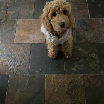 Country Farmhouse Multicolour Natural Slate Floor Tiles