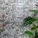 Lazio Multicolour Gloss Patterned Wall Tiles