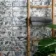Lazio Multicolour Gloss Patterned Wall Tiles