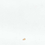 Color: White