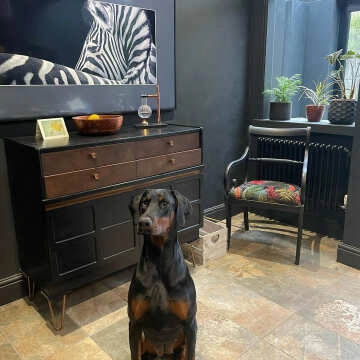 Burnished Multicolour Brown Slate Effect Wall and Floor Tiles