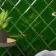 Capsule® Victorian Green Gloss Bevelled 150x150 Wall Tiles