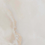Color: Naza White