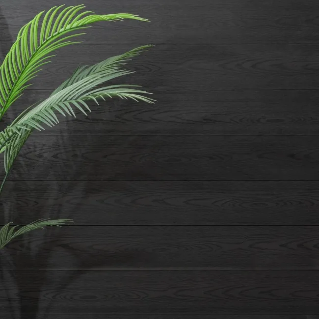 LuxeLine Composite Classic Fence Slats 180cm - Black (Pack of 2)