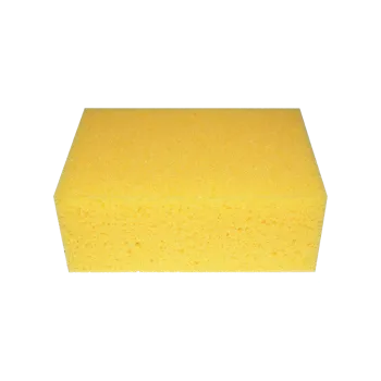 Professional Hydro Sponge