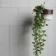London Bridge Grey Gloss Flat Metro Wall Tiles