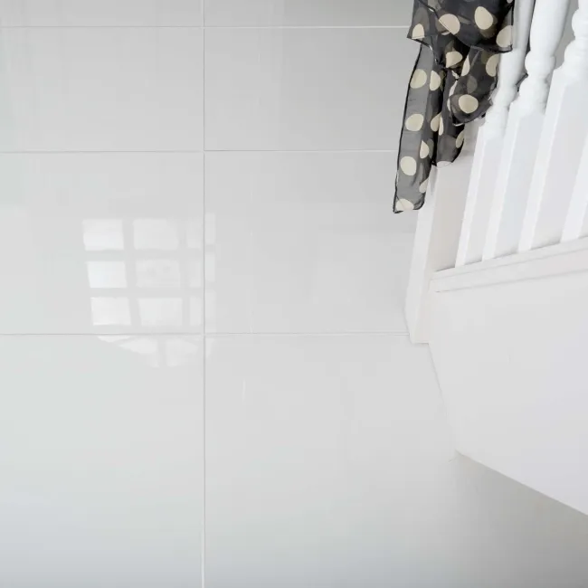 Snow White Polished Porcelain Tiles 600x600mm